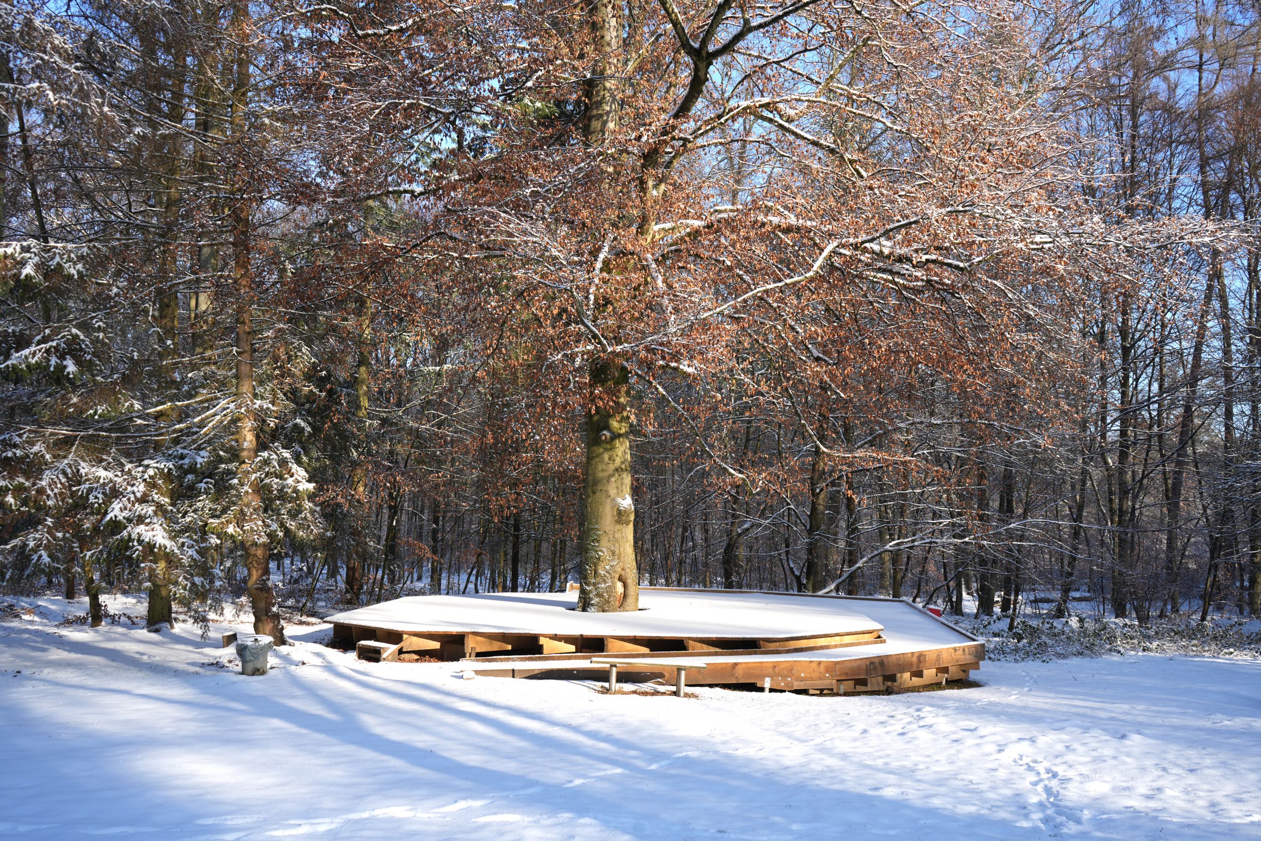 FROSTLOVE CAFÉ // 01.02.2026